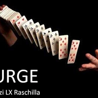 SURGE by Ouzi LX Raschilla video DOWNLOAD