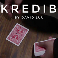 INKredible by David Luu video DOWNLOAD