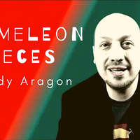 The Vault - Chameleon Pieces by Woody Aragon video DOWNLOAD