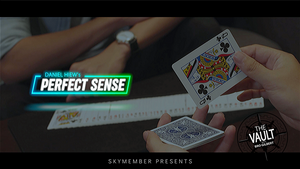 The Vault - Skymember Presents Perfect Sense by Daniel Hiew video DOWNLOAD
