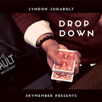The Vault - Skymember Presents Drop Down by Lyndon Jugalbot mixed media DOWNLOAD