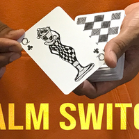 Magic Encarta Presents Palm Switch & Palm Control by Vivek Singhi video DOWNLOAD