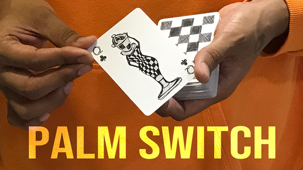 Magic Encarta Presents Palm Switch & Palm Control by Vivek Singhi video DOWNLOAD