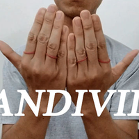 Bandivide by Doan video DOWNLOAD