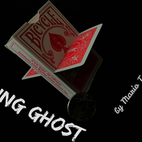 Flying Ghost by Mario Tarasini video DOWNLOAD