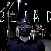 The Vault - Blind Flap Project by PH and Mario Tarasini video DOWNLOAD