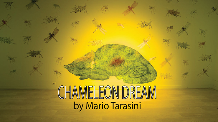 Chameleon Dream by Mario Tarasini video DOWNLOAD