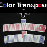 Color Transpose by Nico Guaman video DOWNLOAD