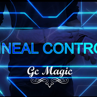 Linear Control by Gonzalo Cuscuna video DOWNLOAD