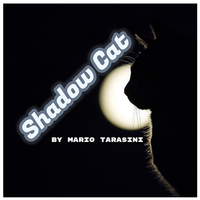 Shadow Cat by Mario Tarasini video DOWNLOAD