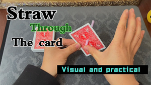 Straw Through The Card by Dingding video DOWNLOAD