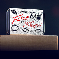 Flite (Ring Flight) by Steve Thompson
