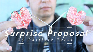 Surprise Proposal by Patricio Teran video DOWNLOAD