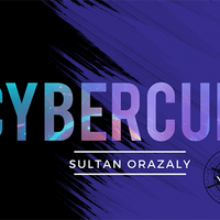 The Vault - Cybercup  by Sultan Orazaly video DOWNLOAD