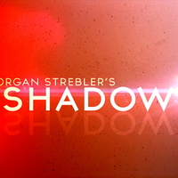 The Vault - Shadow by Morgan Strebler video DOWNLOAD