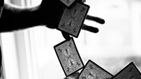 Bicycle Black Tiger - Red Playing Cards by Ellusionist
