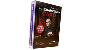 Chameleon Card 2 by Dominique Duvivier