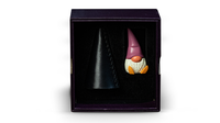 Gnome's Hat by TCC & Sebastian
