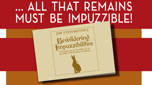 Impuzzibilities, Volume 10: Bewildering Impuzzibilities by Jim Steinmeyer - Book