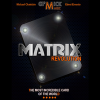 Matrix Revolution (Red) by Mickael Chatelain