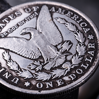 Morgan Replica Coin by Avi Yap