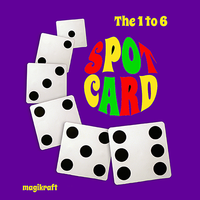 1 to 6 Spot Card by Martin Lewis