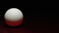 Perfect Manipulation Balls (1.7" White ) by Bond Lee
