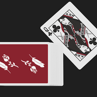 Remedies Playing Cards (Red) by Madison x Schneider