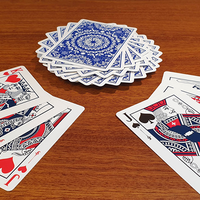 Resilience Marked Playing Cards (Blue)