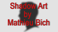 Shadow Art (Batman) by Mathieu Bich
