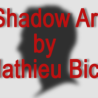 Shadow Art (Batman) by Mathieu Bich