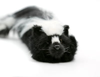 Sammy the Skunk by Magic Makers - Spring Animal Puppet
